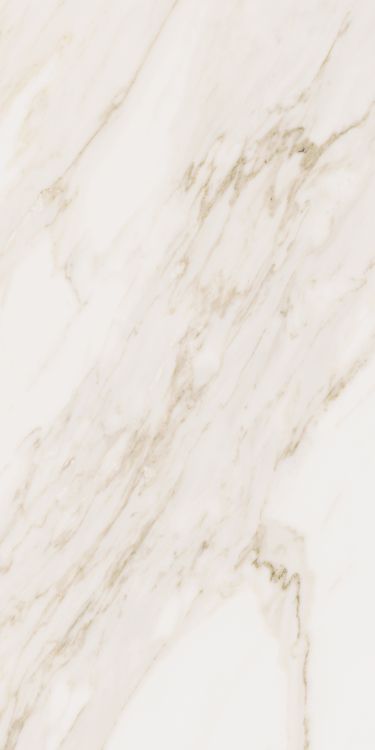 Omnia Calacatta Levigato 12 x 24